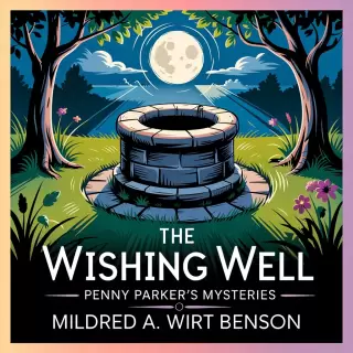 Cover of The Wishing Well : Penny Parker's Mysteries