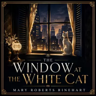 Cover of The Window at the White Cat: A Lawyer's Dilemma