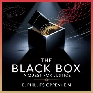 Cover of The Black Box: A Quest for Justice