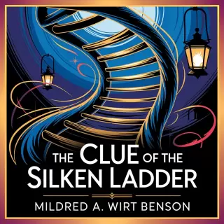 Cover of The Clue of the Silken Ladder: A Penny Parker Mystery