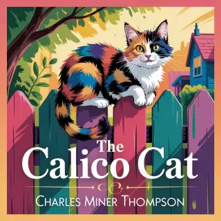 Cover of The Calico Cat: A Tale of Misguided Anger